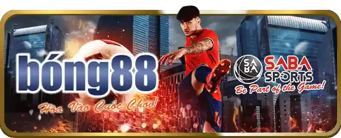 Chương trình hoàn trả cược thể thao